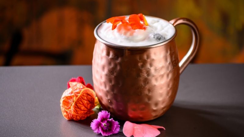 Moscow mule com cranberry