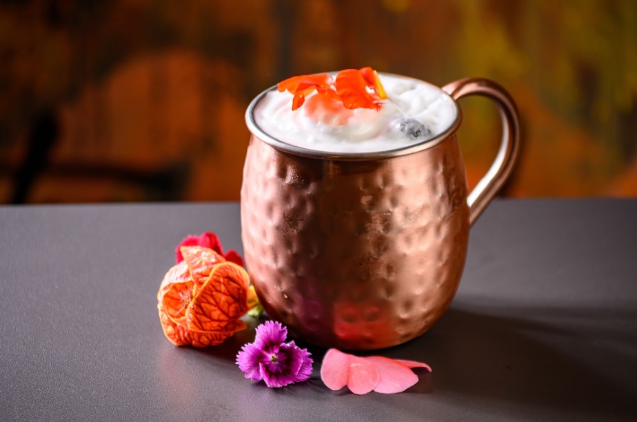 Moscow mule com cranberry