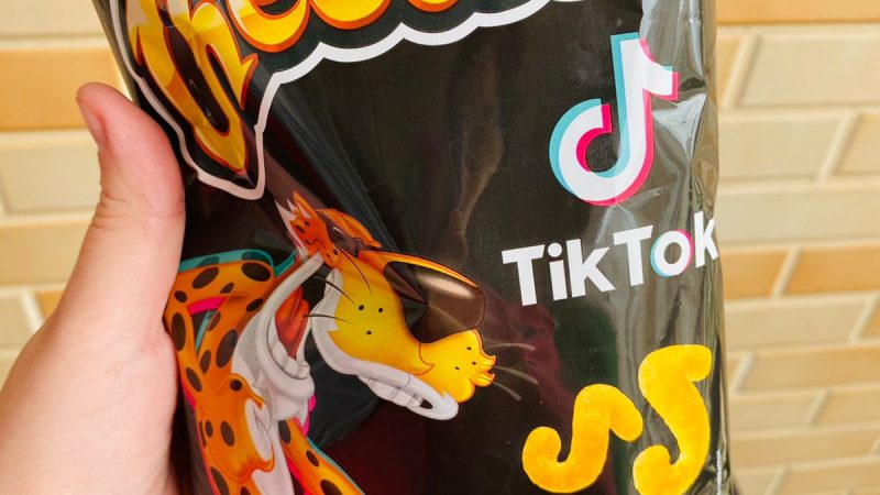 Salgadinho Elma Chips em parceria com o TikTok